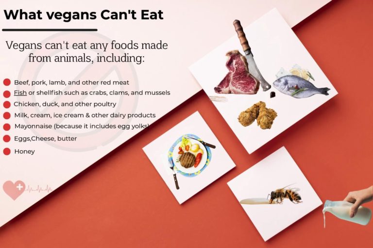 What Can Vegans Not Eat Vegan Prohibited Food List 0781