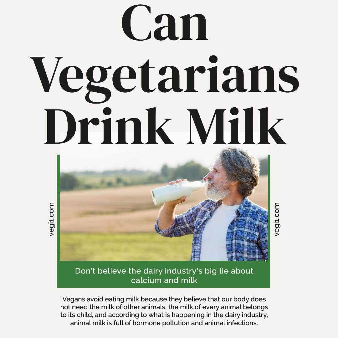 can-vegetarians-drink-milk-vegetarians-and-drinking-milk-vegi1