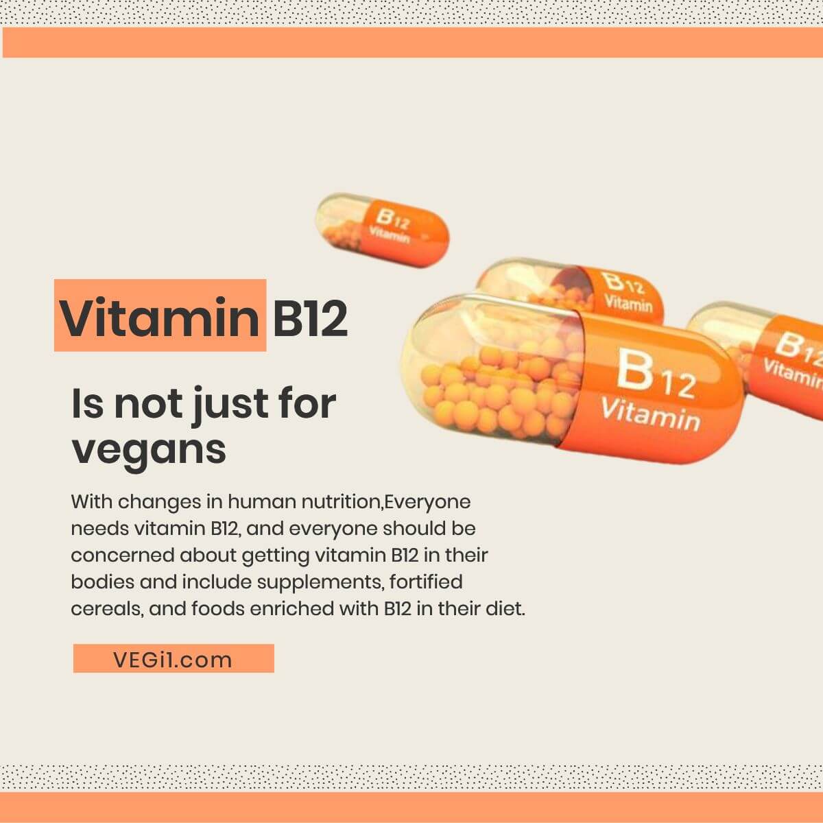 What Foods Are High In B12 Vitamin For Vegetarians And Vegans -- VEGi1