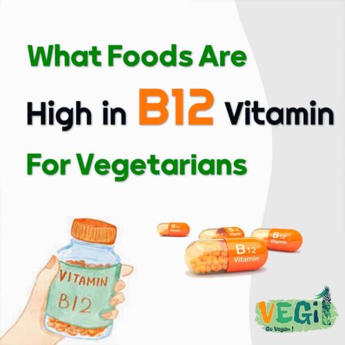 What Foods Are High In B12 Vitamin For Vegetarians And Vegans -- VEGi1